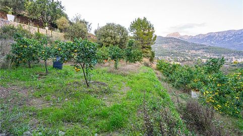 Suelo rústico en Sóller,