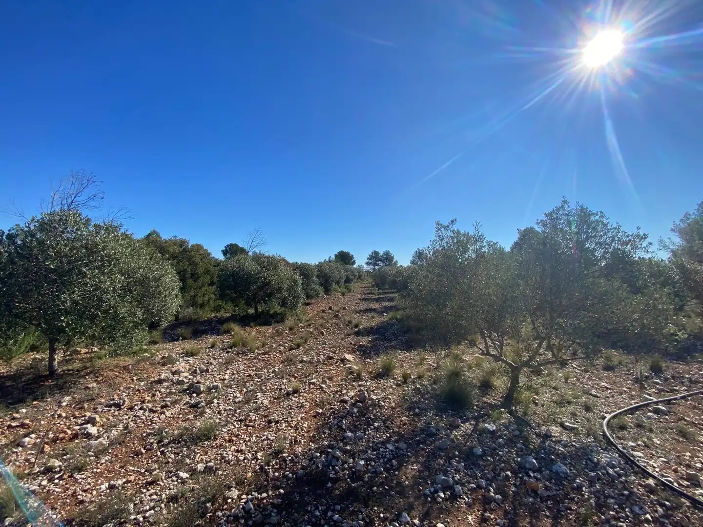 Residencial en venta en Bolbaite