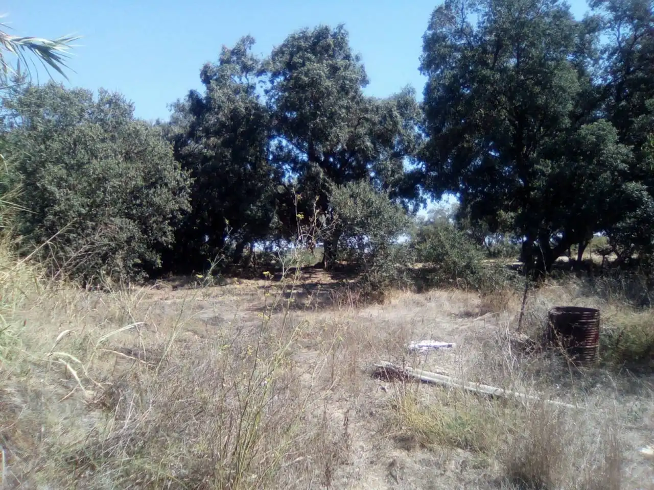 Casa o xalet en venda en Alcampell amb Jardí privat