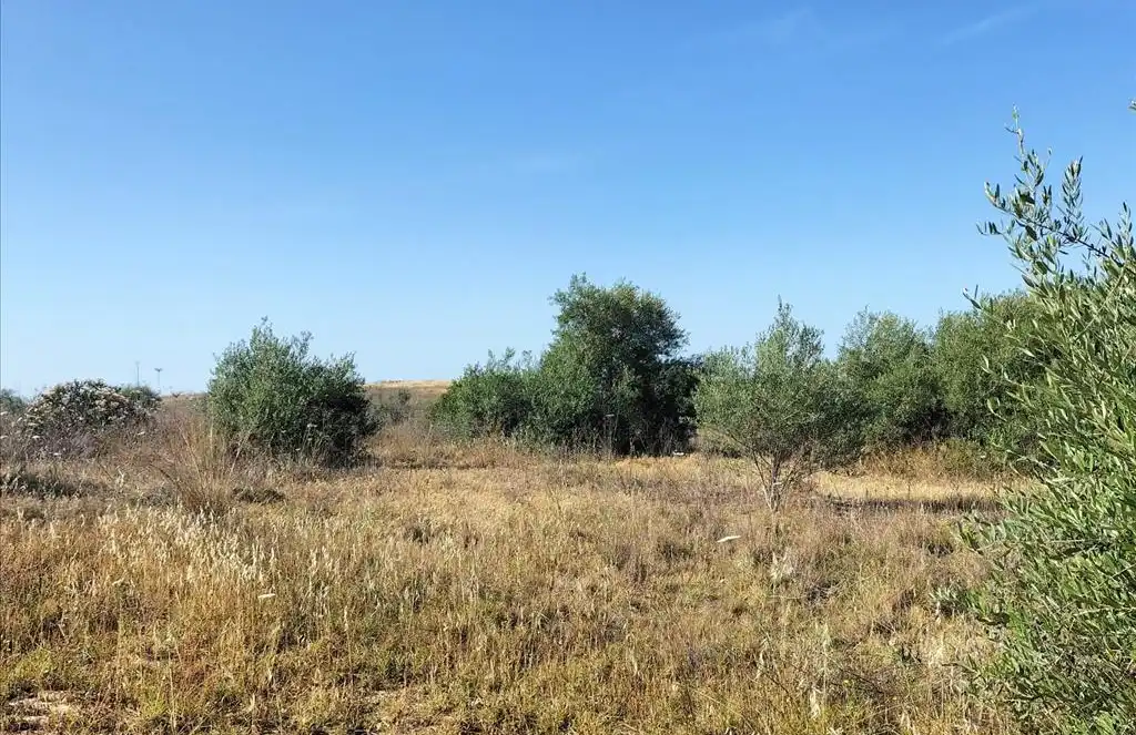 Terreni e lotti in vendita a Carretera de Palomares, imagen 18