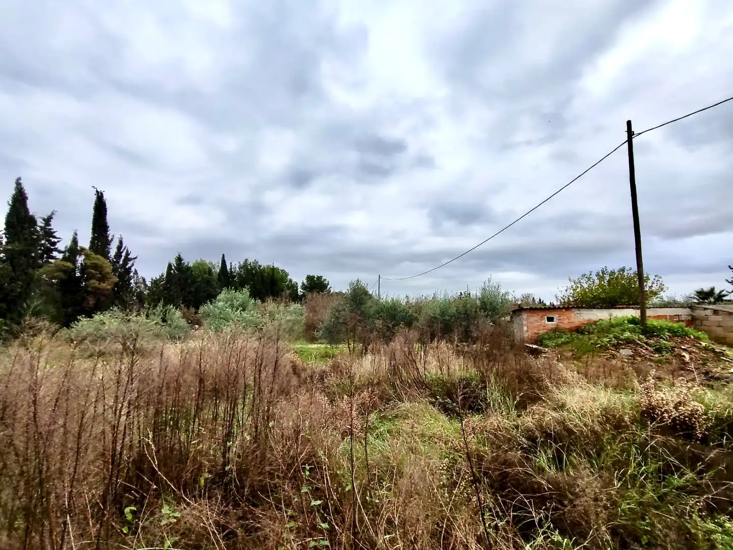 Land for sale in Vilallonga del Camp