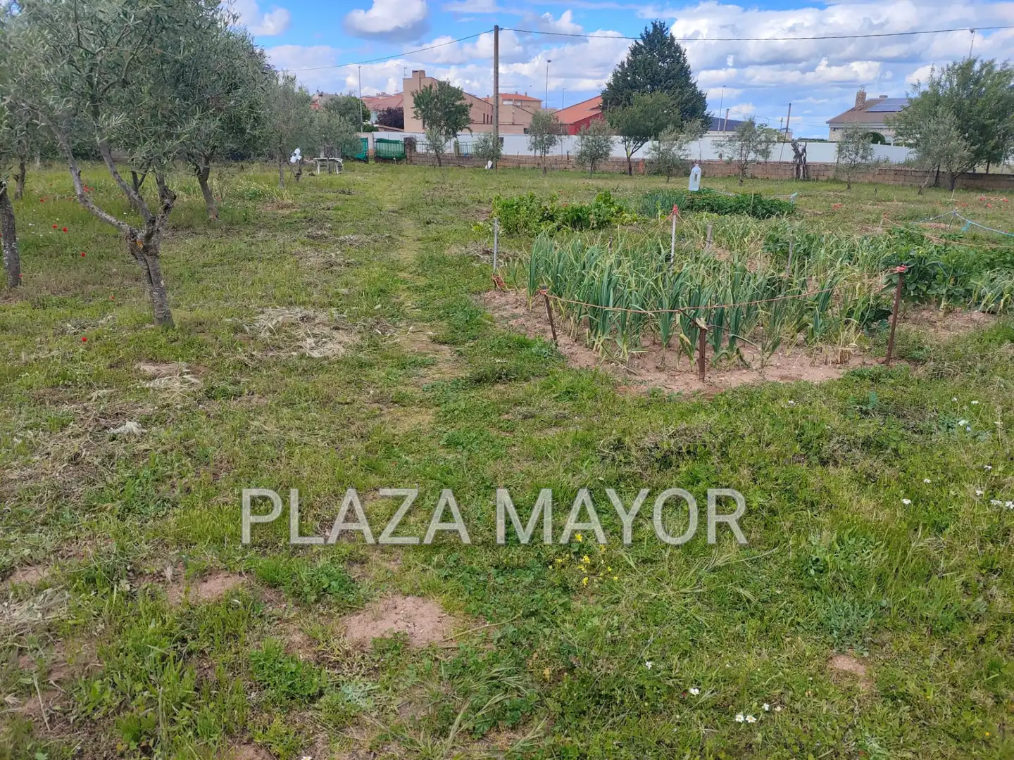 Terreno rustico in vendita a Villares de la Reina, imagen 6
