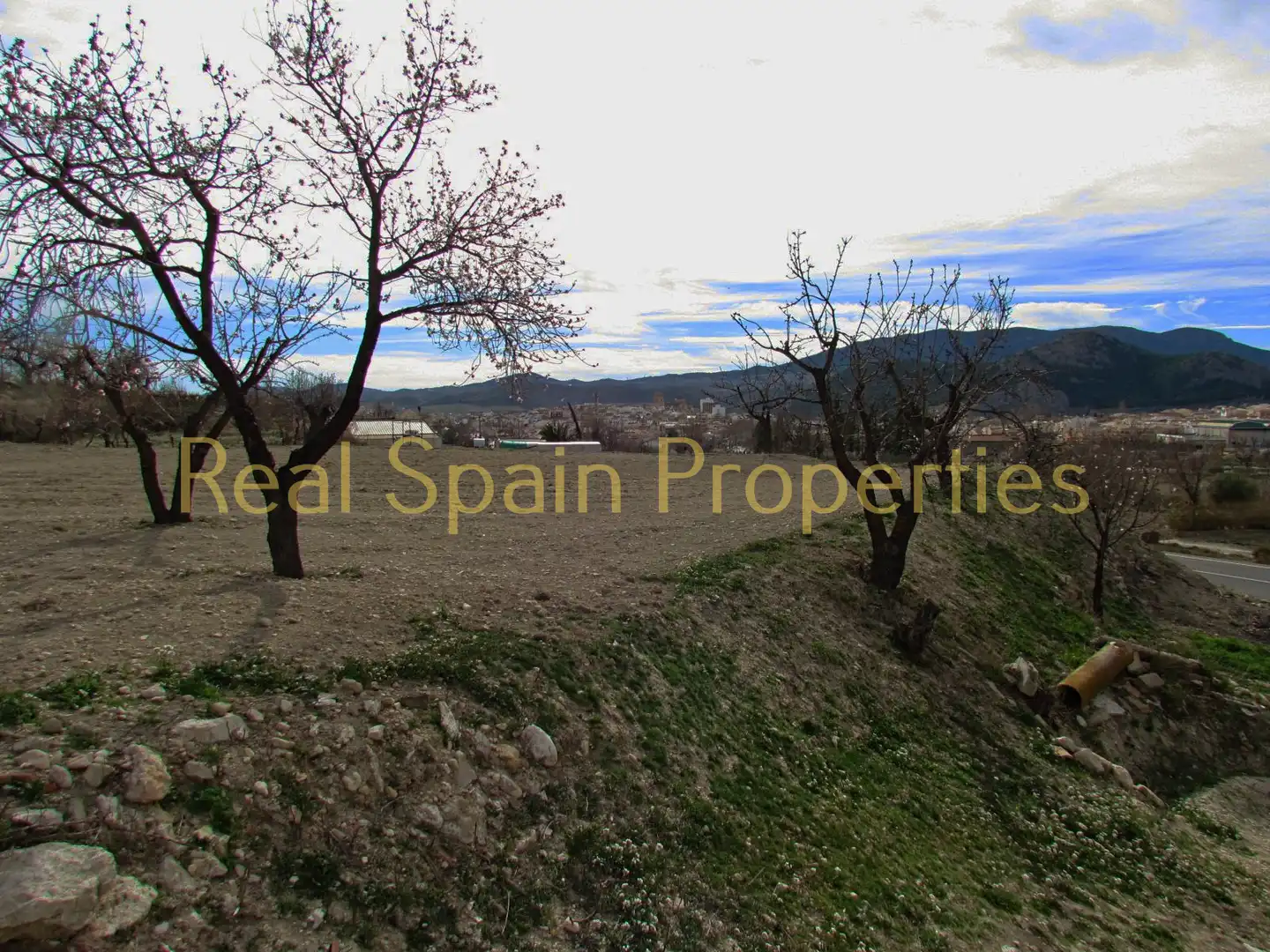Casa rústica en venta en Vélez-Rubio, imagen 22