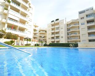 Swimming pool of Apartment to rent in Marbella  with Terrace and Swimming Pool