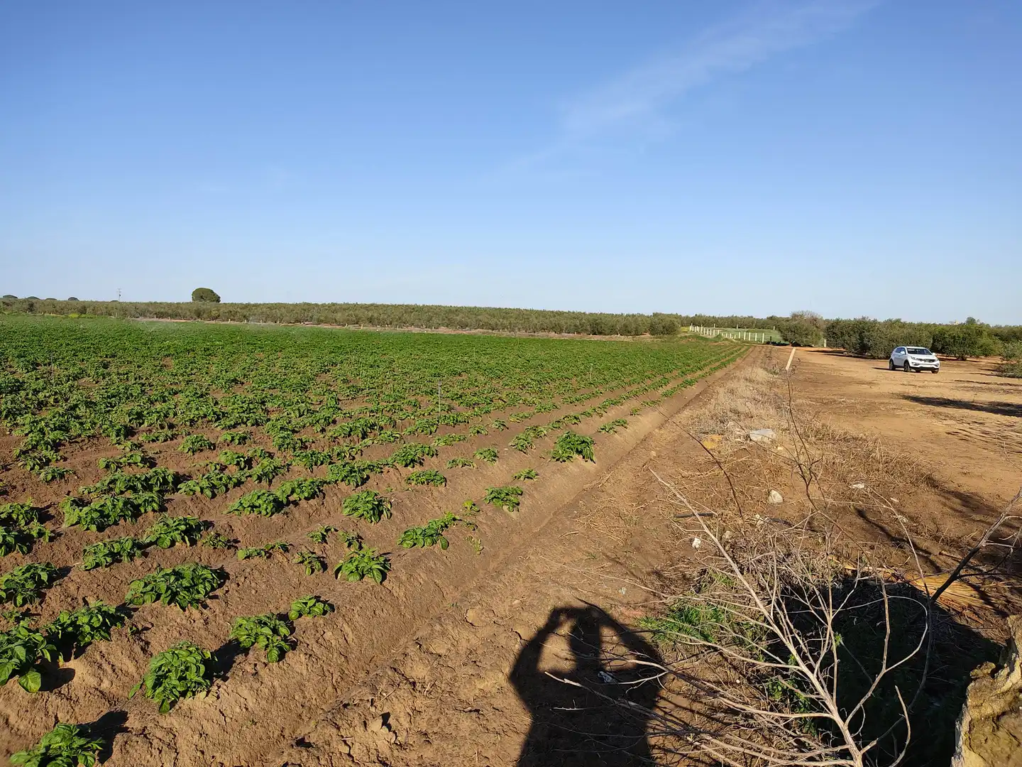 Terreny rústic en venda a Pedanías Norte, imagen 6