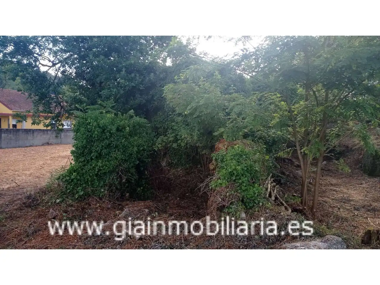 Terrenys i solars en venda a Calle Arcos, imagen 5