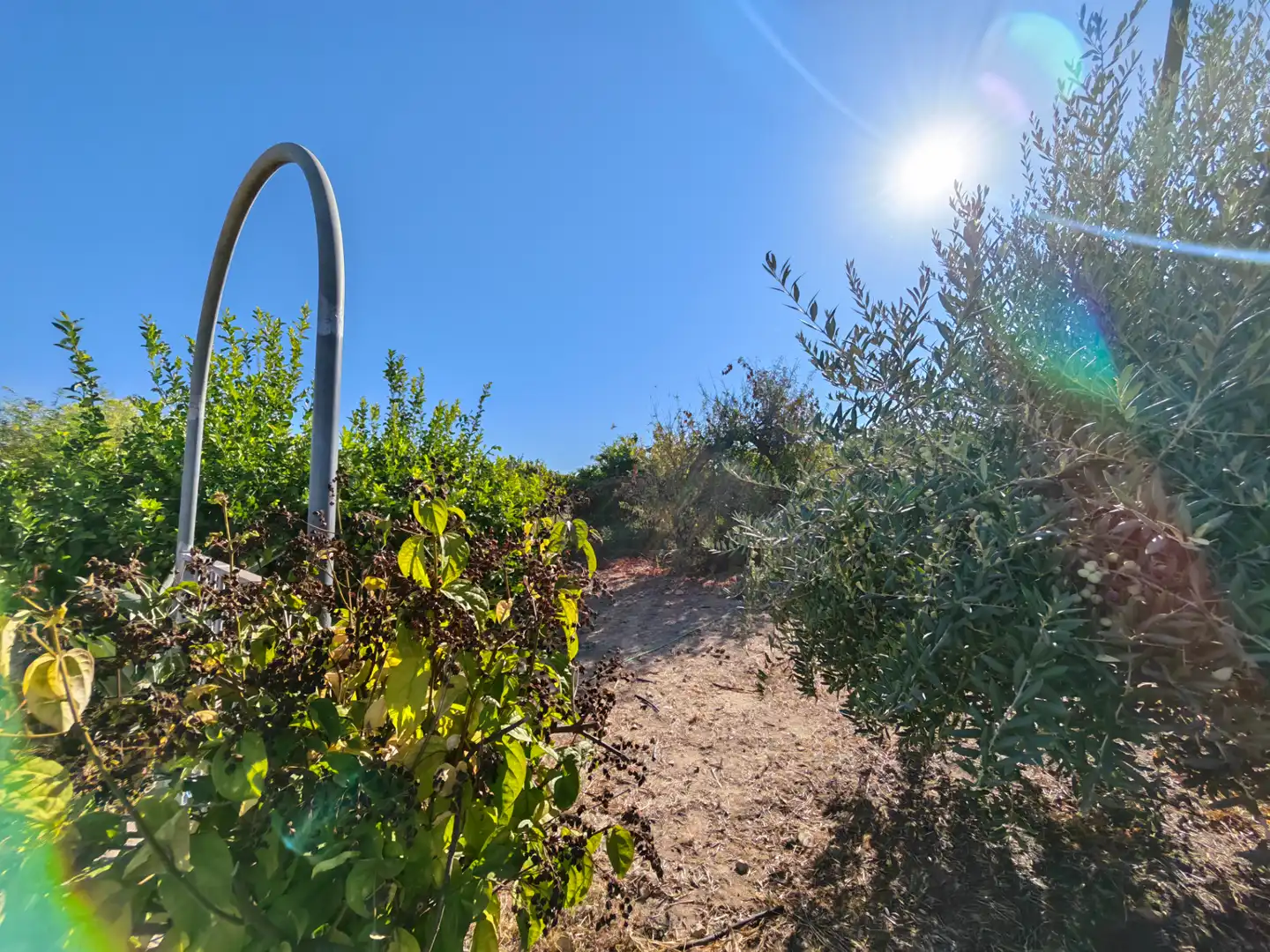 Casa rústica amb jardí en venda a Alquería - Torrealquería, imagen 40