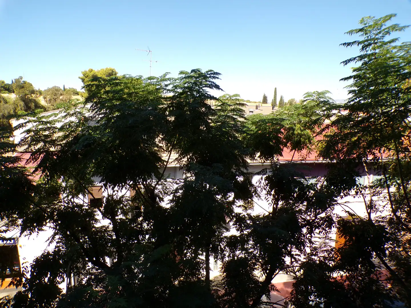 Flat with terrace for sale in Ayuntamiento - El Salvador, imagen 28