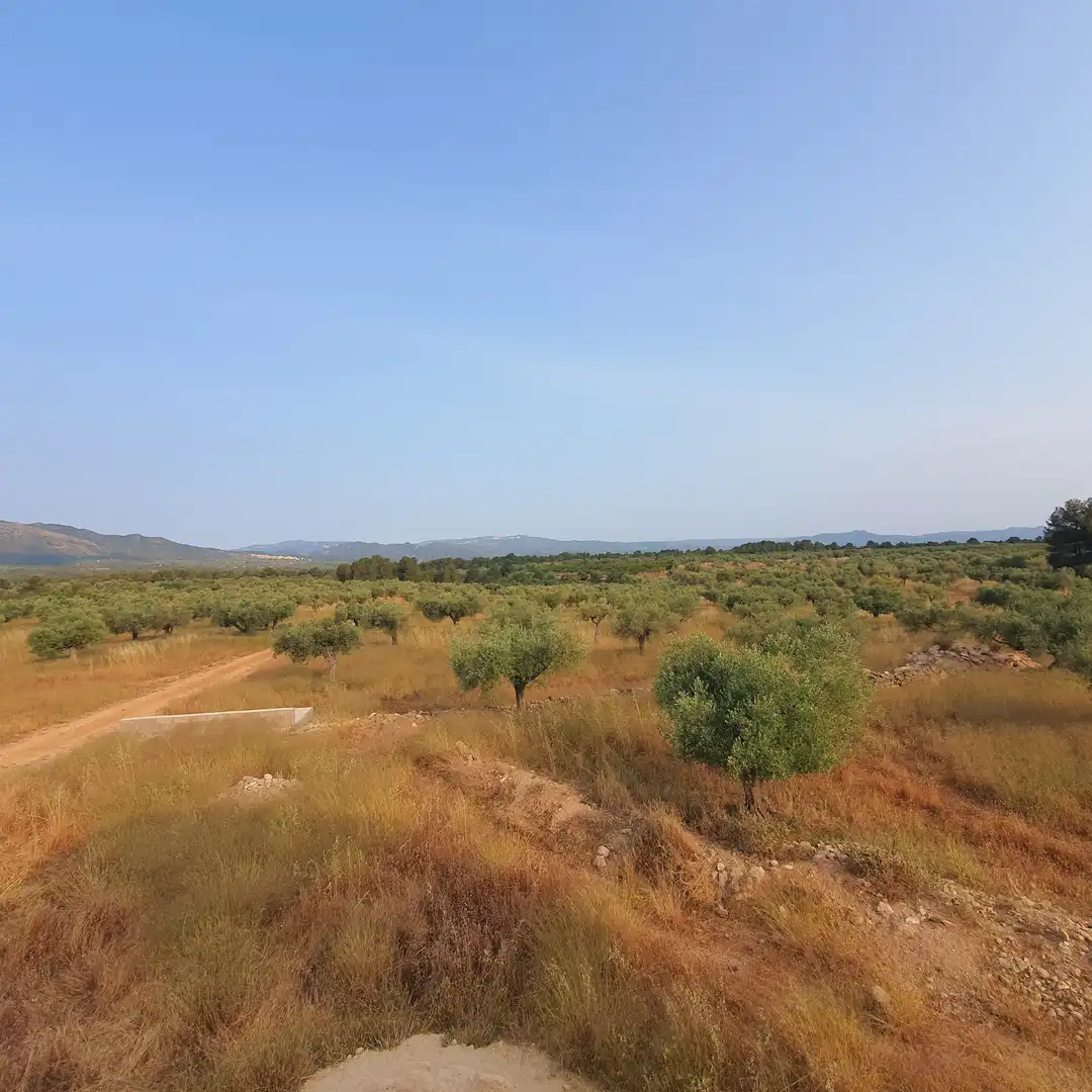 Terrain rustique à vendre à Tivissa, imagen 19