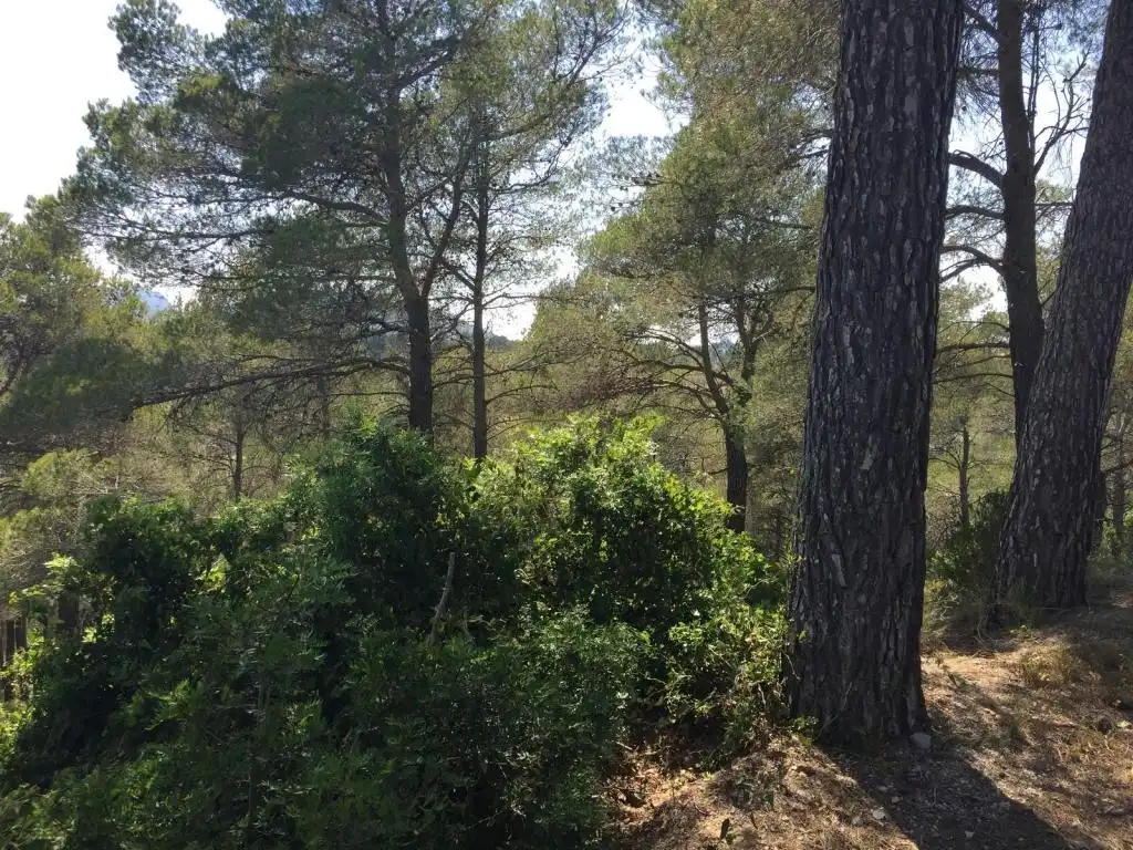 Terreny rústic en venda a BAIX PENEDES, imagen 9