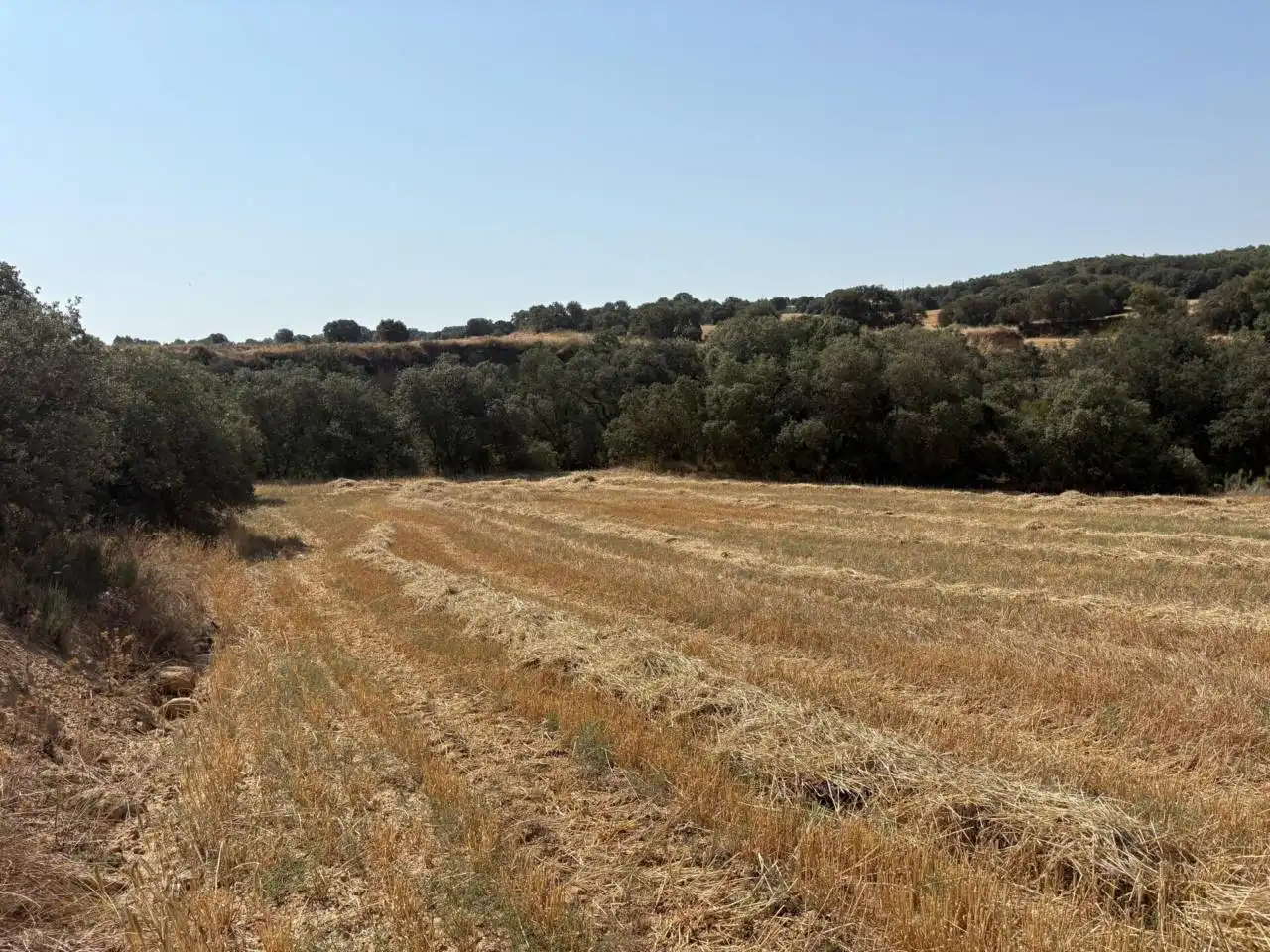 Terreno en venta en San Esteban de Litera