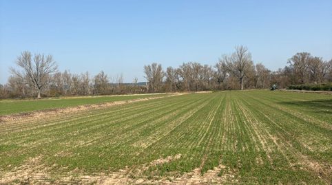 Foto 4 de Terreno en venta en Arrúbal, La Rioja