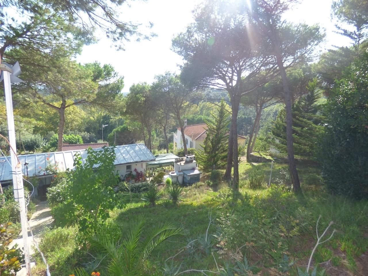 Jardín de Casa o chalet en venta en Tordera con Jardín privado