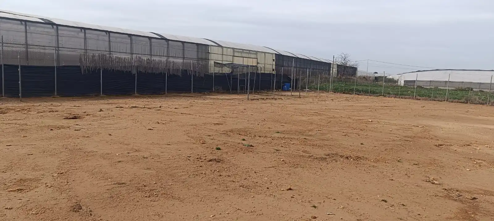 Terreny rústic en venda a El Mirador Pozo Aledo, imagen 5