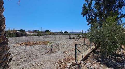 Foto 3 de Finca rústica en venda a Las Majadas - Las Molinetas - Labradorcico, Murcia
