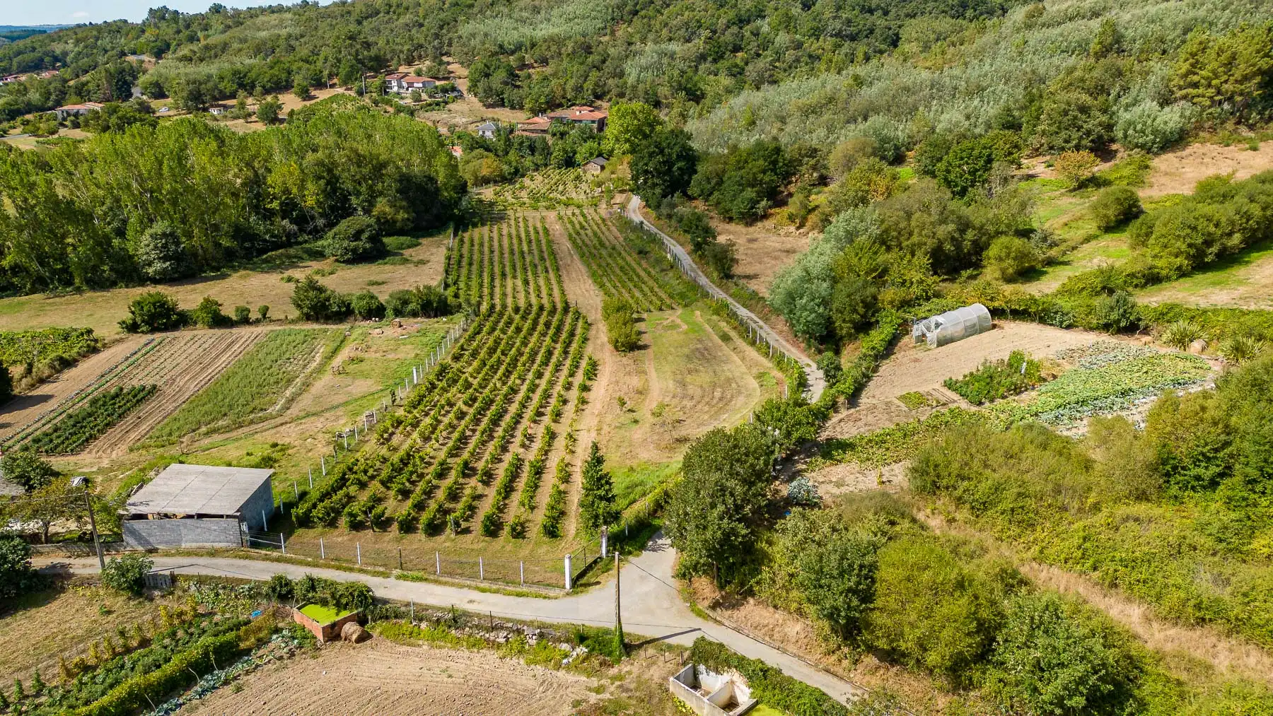 Geschaftsraum zum Verkauf in Monforte de Lemos