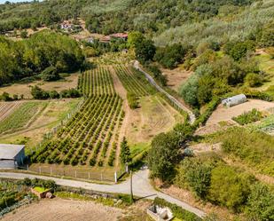 Geschaftsraum zum verkauf in Monforte de Lemos