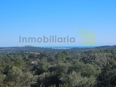 Terreny residencial en venda a Cervera del Maestre