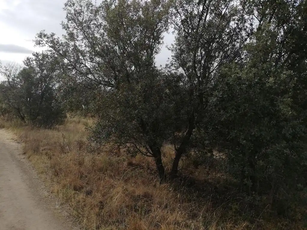 Terreni e lotti in vendita a Ur. Cerro Alberche, imagen 19