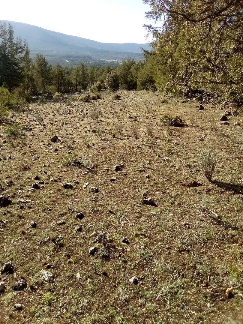 Terreno en venta en Casla