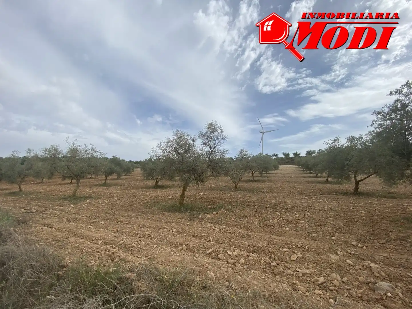 Terrenys i solars en venda a Padul, imagen 30