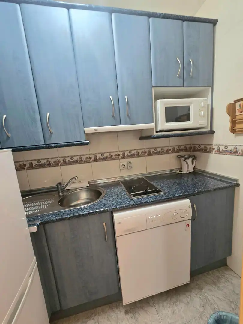 Cuina de Estudi en venda en Benalmádena amb Aire condicionat, Terrassa i Moblat