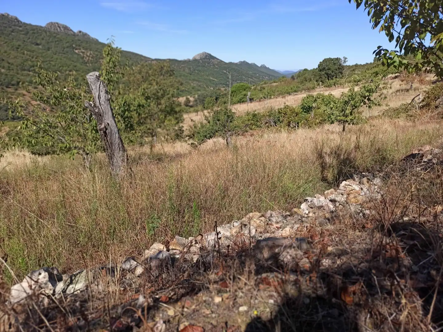 Land for sale in Navezuelas