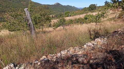 Foto 3 de Terreno en venta en Avenida de Extremadura, 149, Navezuelas, Cáceres