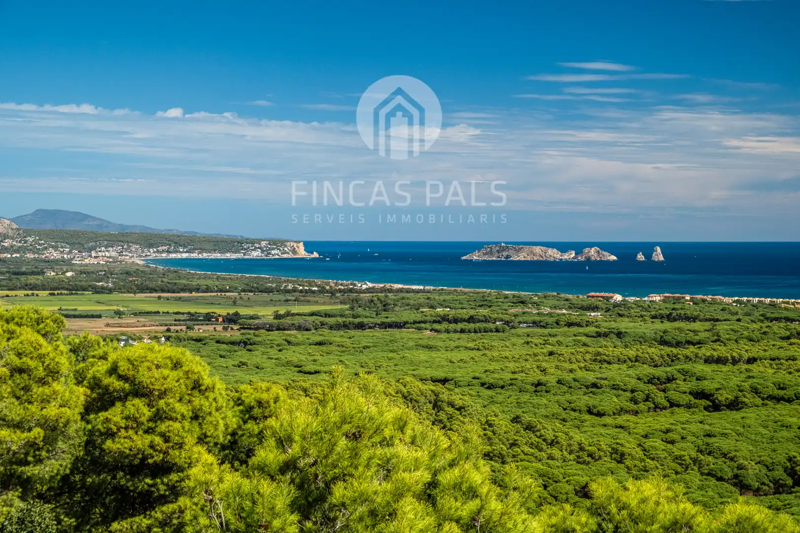 Detached house with pool for sale in Carrer de Londres 53, imagen 42