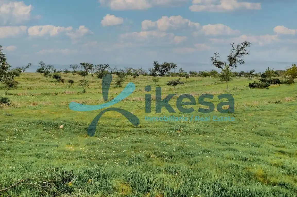 Land for sale in Puebla de Guzmán