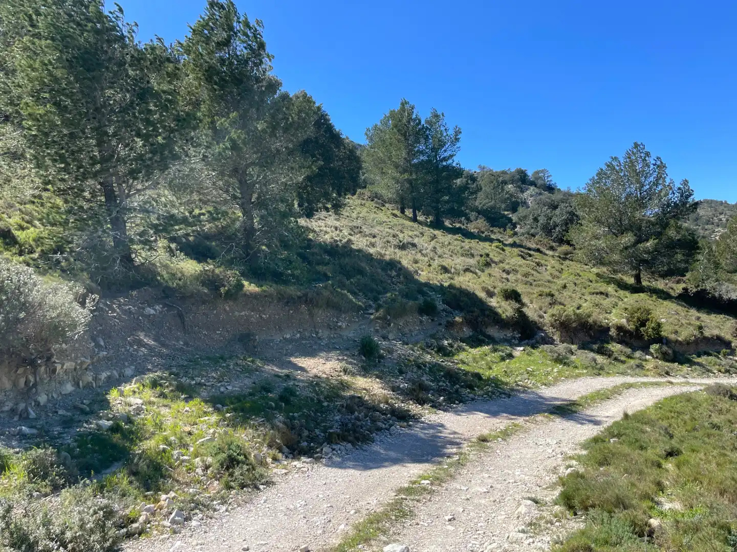 Terrain rustique à vendre à Tivissa, imagen 11