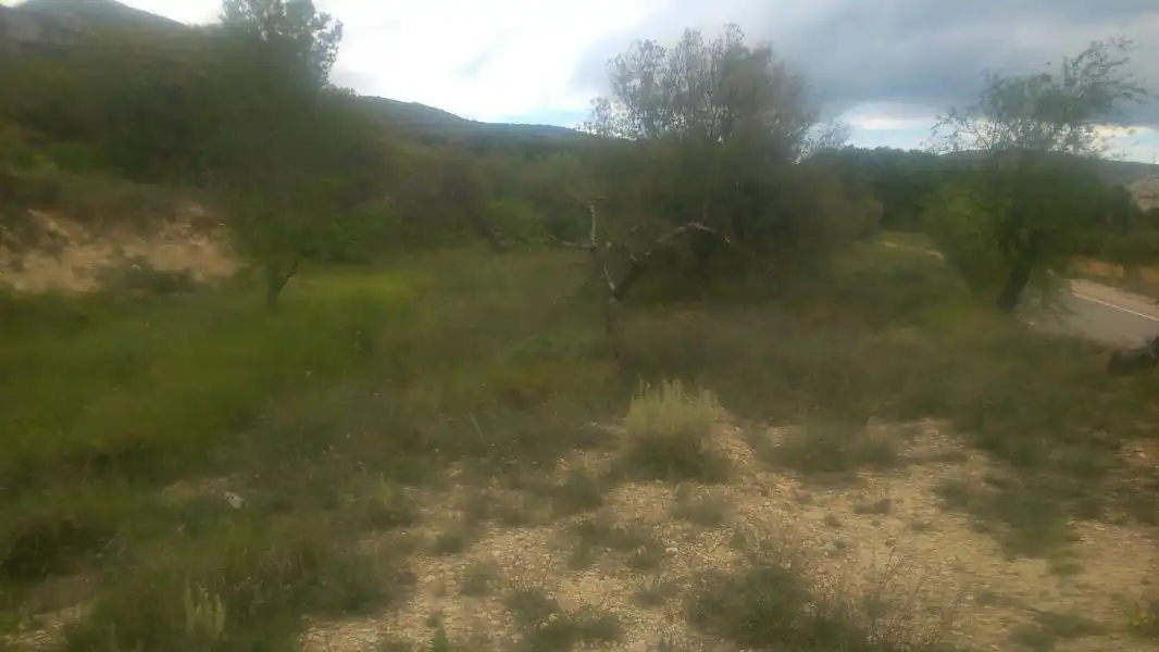 Terrenys i solars en venda a Partida CAMI CARRASCAL, imagen 2