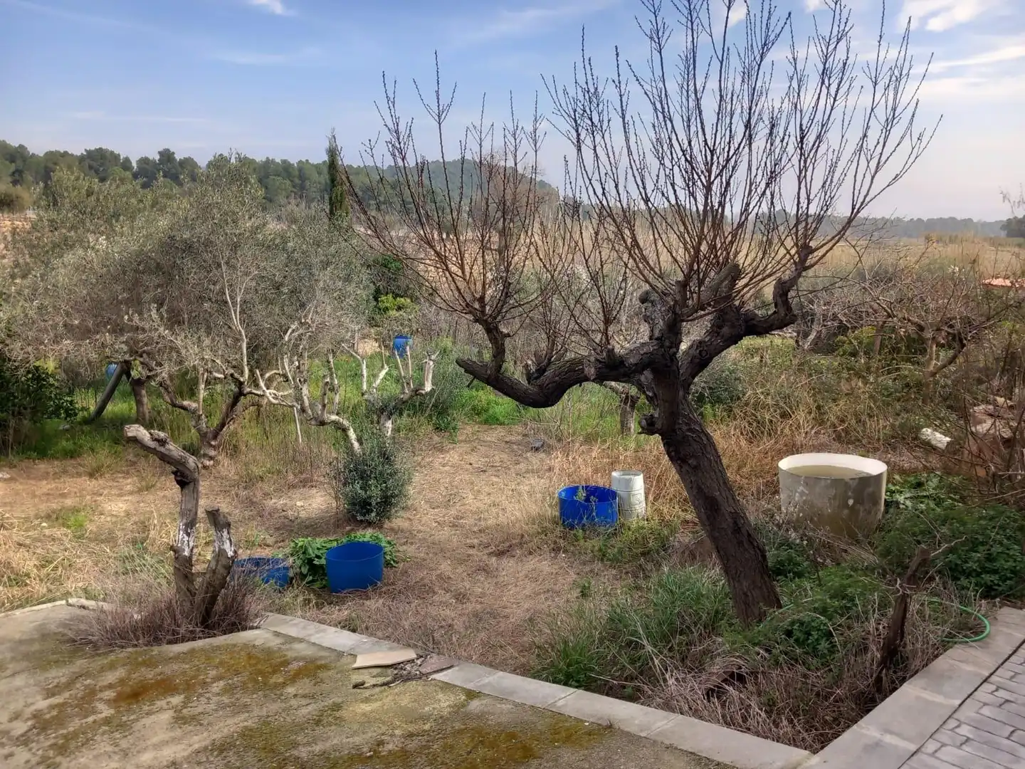 Casa o xalet en venda en Torrelles de Foix amb Traster
