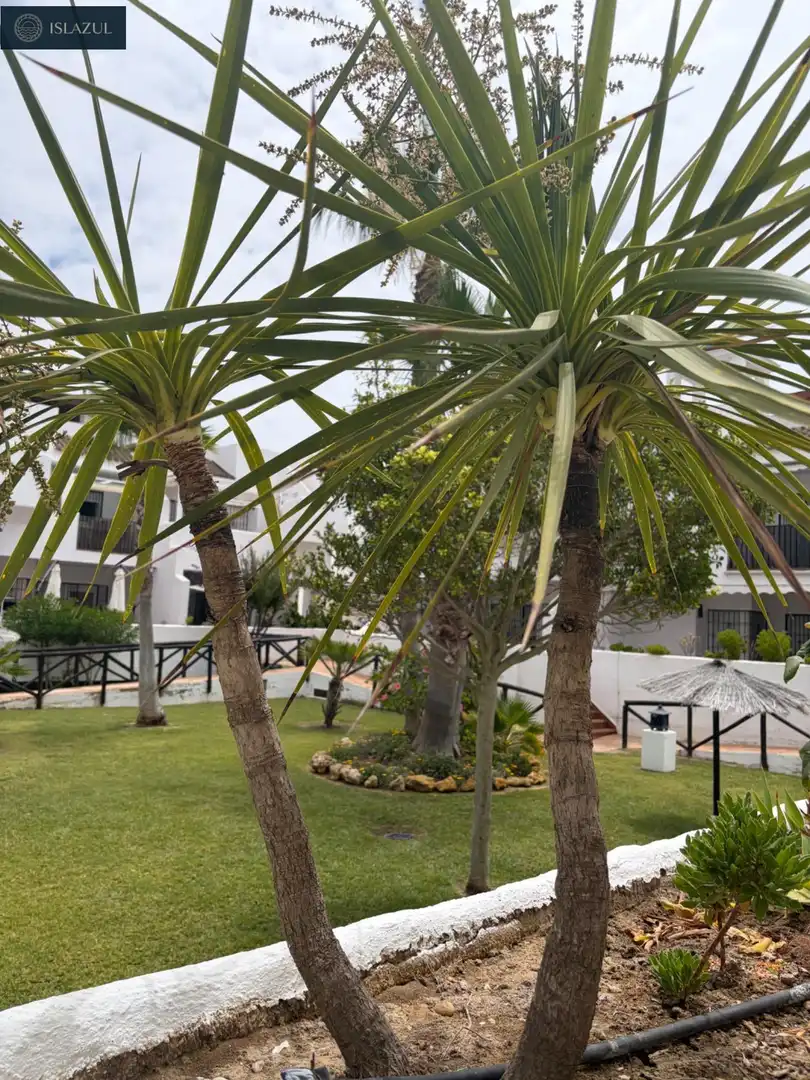 Garden of Attic for sale in Islantilla  with Air Conditioner, Heating and Terrace