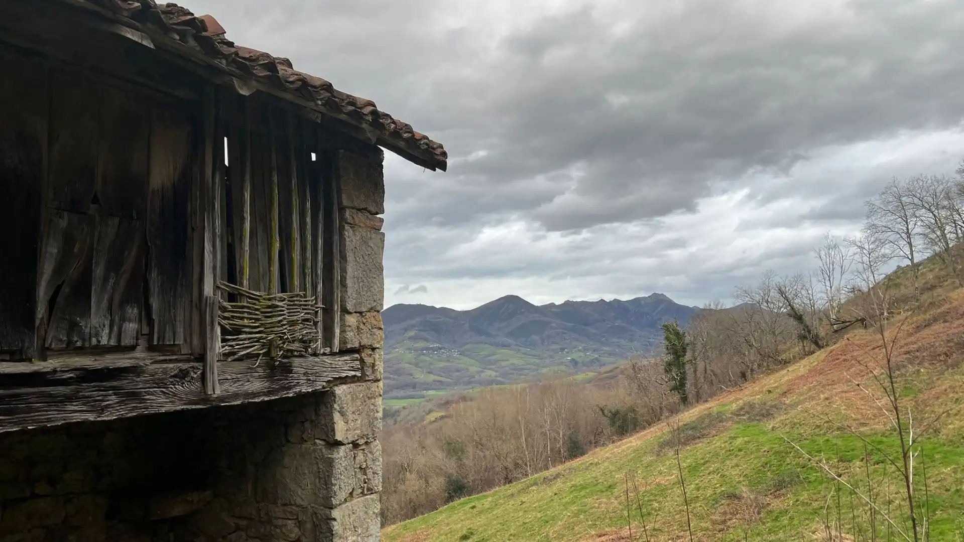 Terreno rustico in vendita a Cangas de Onís, imagen 12