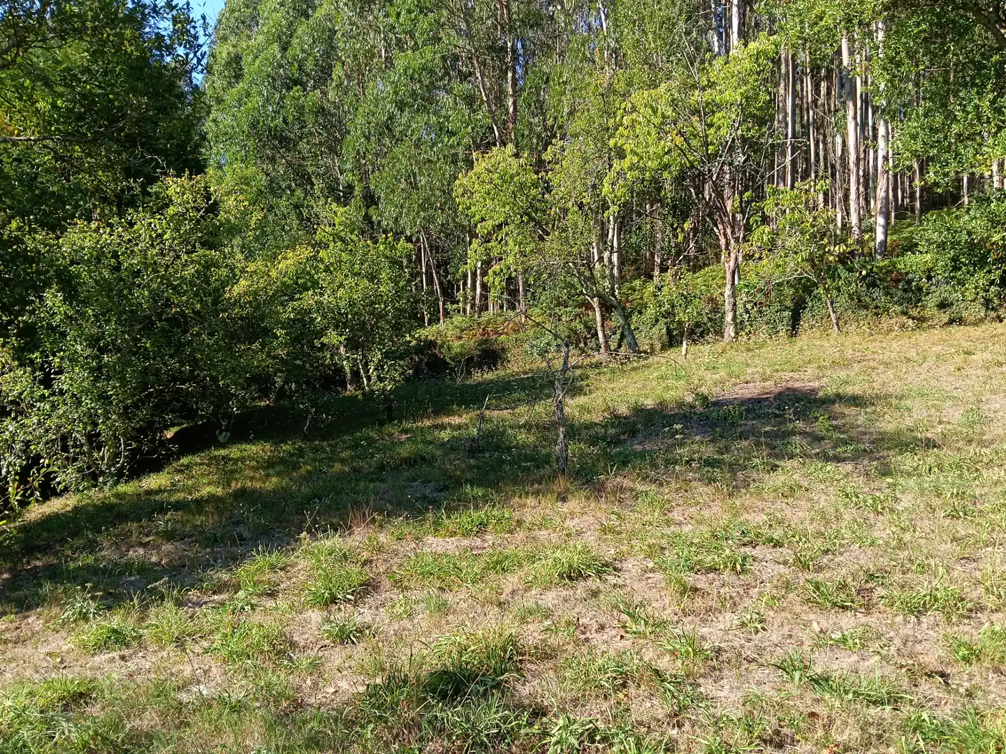 Casa amb jardí en venda a Oza dos Ríos, imagen 11