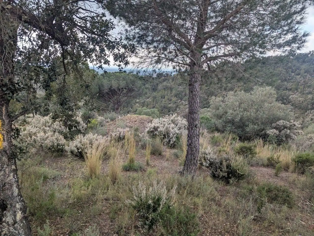 Residencial en venta en Pedret i Marzà