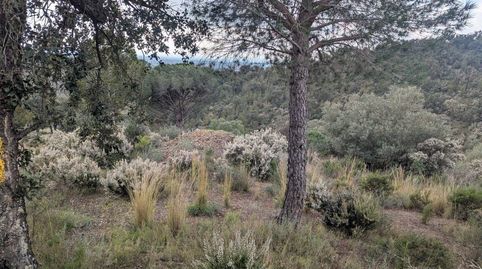 Foto 4 de Residencial en venda a Montperdut, Pedret i Marzà, Girona