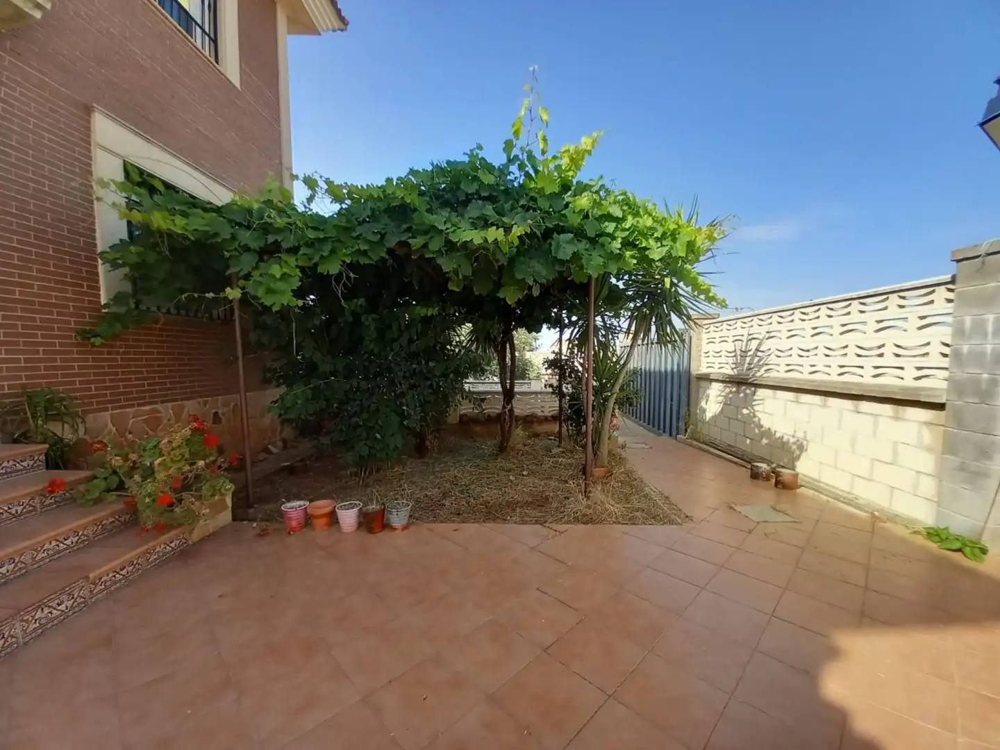 Jardí de Casa o xalet en venda en Linares amb Terrassa