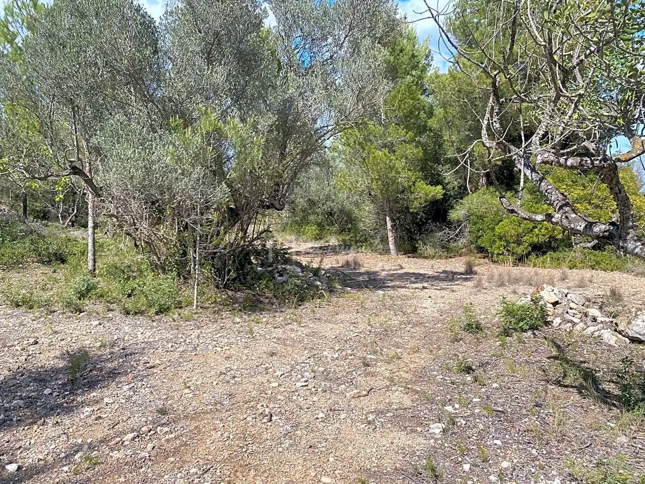 Terreno rustico in vendita a Ligallo de les Bordes, imagen 4