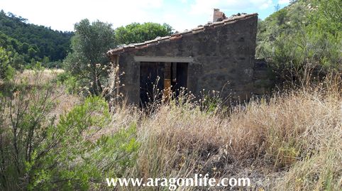 Finca de secano + casita. Bosque y olivos