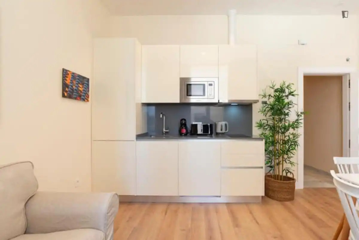 Study for rent in La Malagueta - Monte Sancha