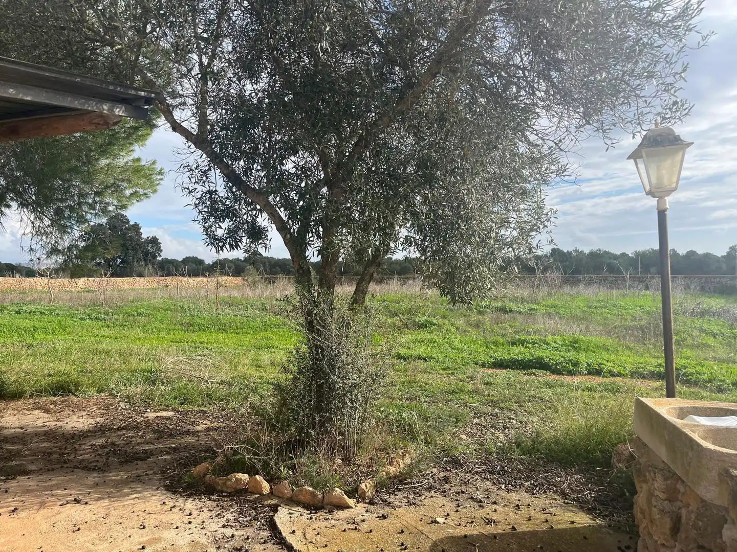 Finca rústica en venta en Llucmajor pueblo