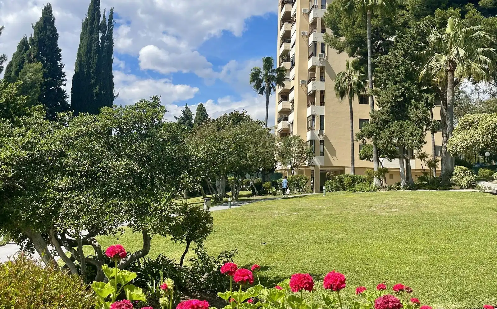 Vista exterior de Estudio en venta en Marbella con Amueblado