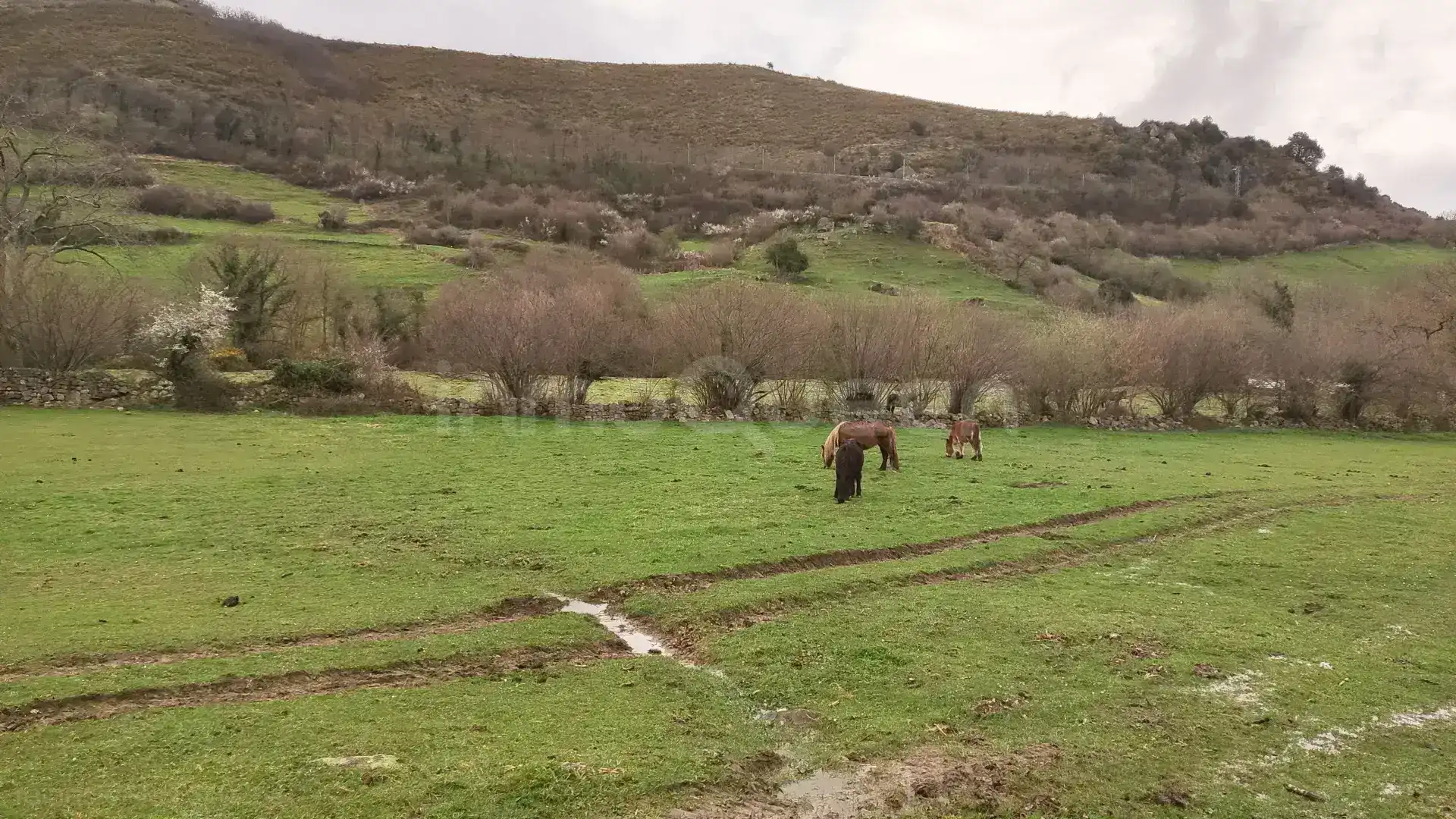 Terreno en venta en Bárcena de Pie de Concha