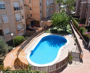 Swimming pool of Flat to rent in Molina de Segura  with Air Conditioner, Storage room and Furnished