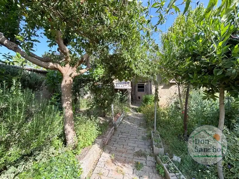 Jardín de Casa o chalet en venta en Rueda con Trastero