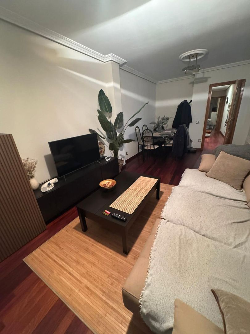 Living room of Flat for sale in Valladolid Capital  with Heating, Parquet flooring and Furnished