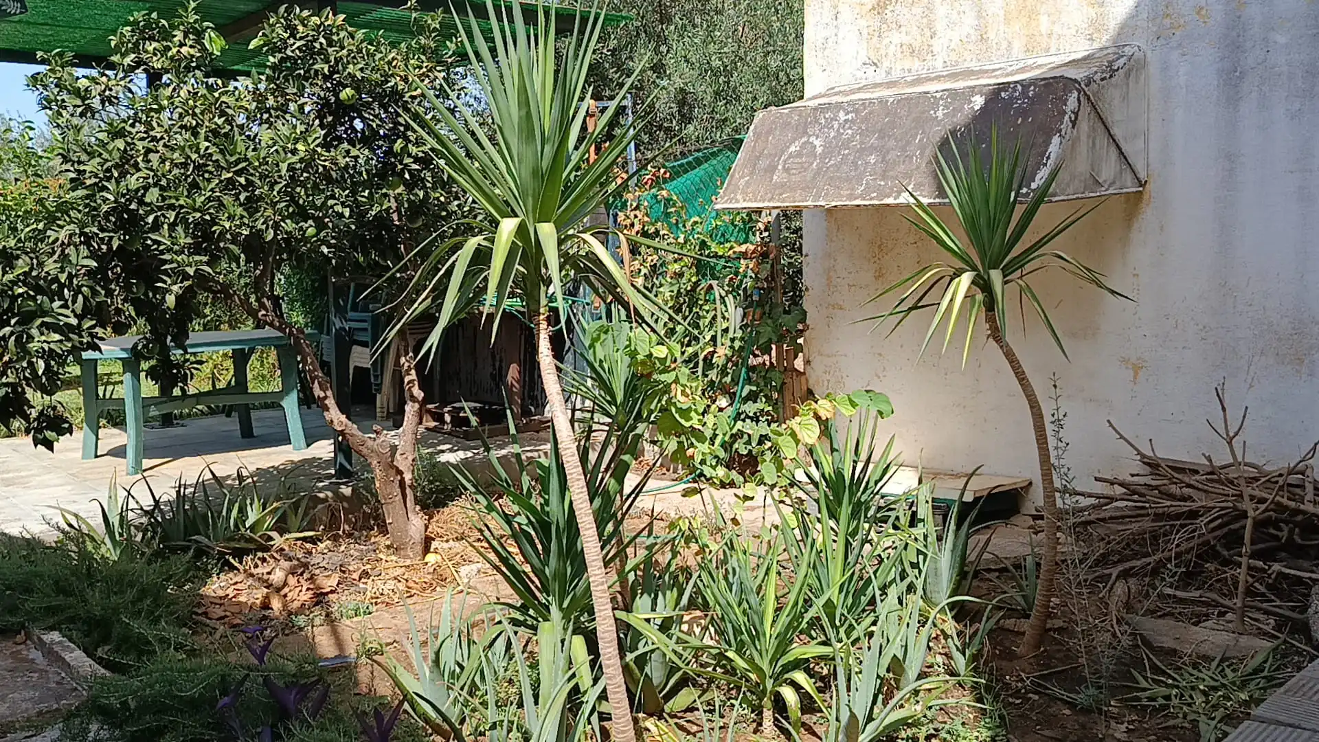 Villa avec piscine à louer à Urbanizacion el Campillo, imagen 39