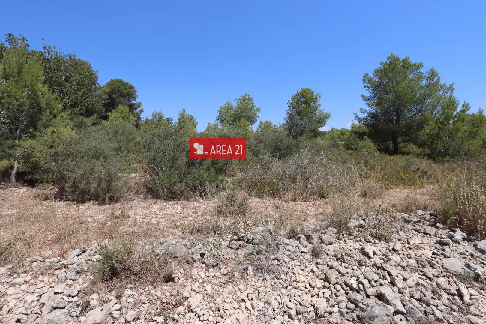 Terreno rústico en venta en Pla dels Aljubs, imagen 7